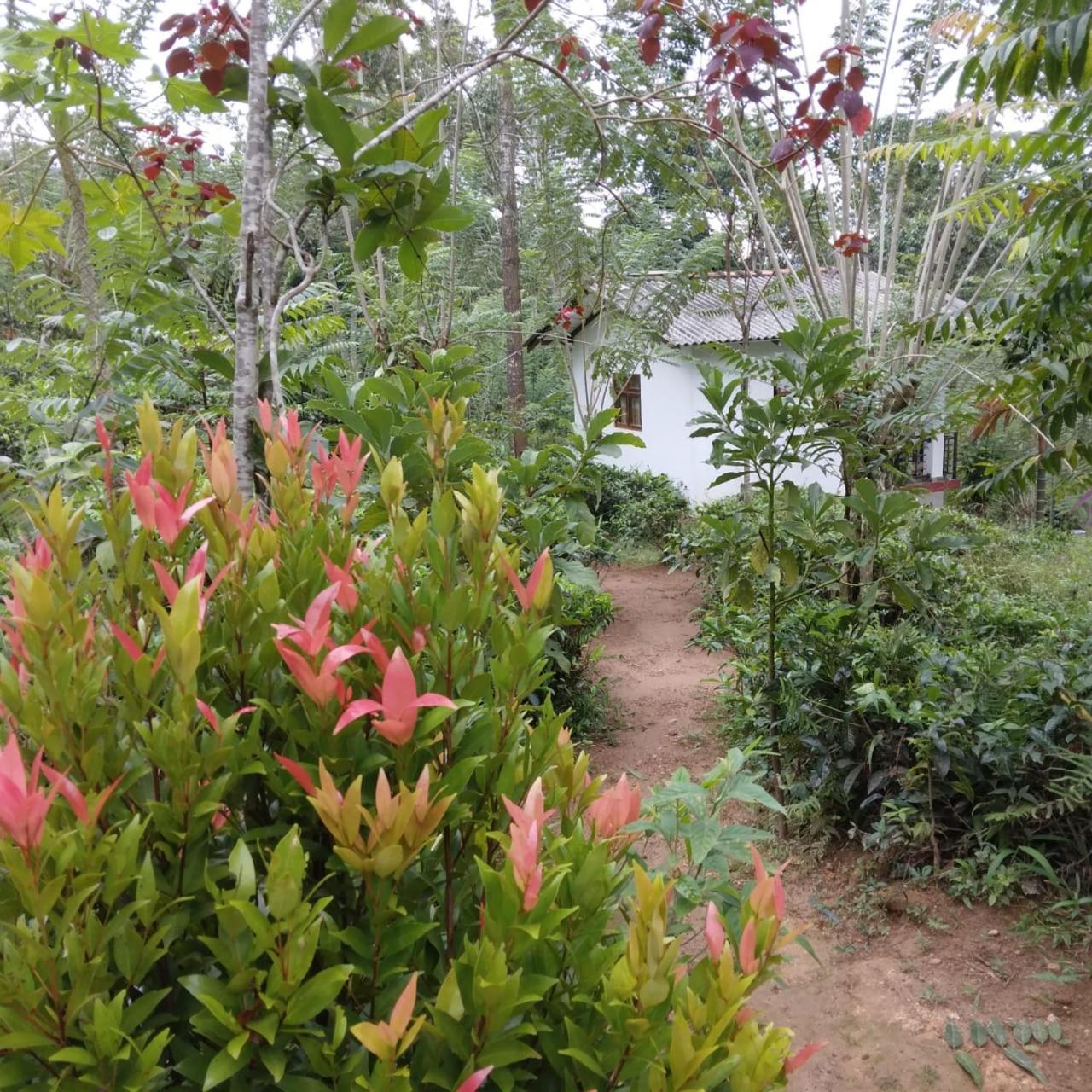 Rivinu Holiday Resort Ella Exterior photo